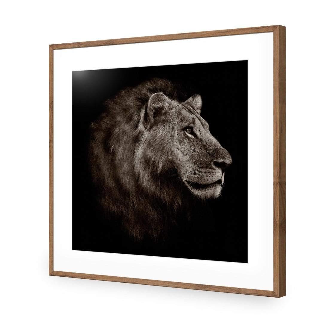 Lion Portrait - Wall Art Designs - 3111_AS_Q WAD_CP - MPY - 260 - M - S - S_37x37_NONE