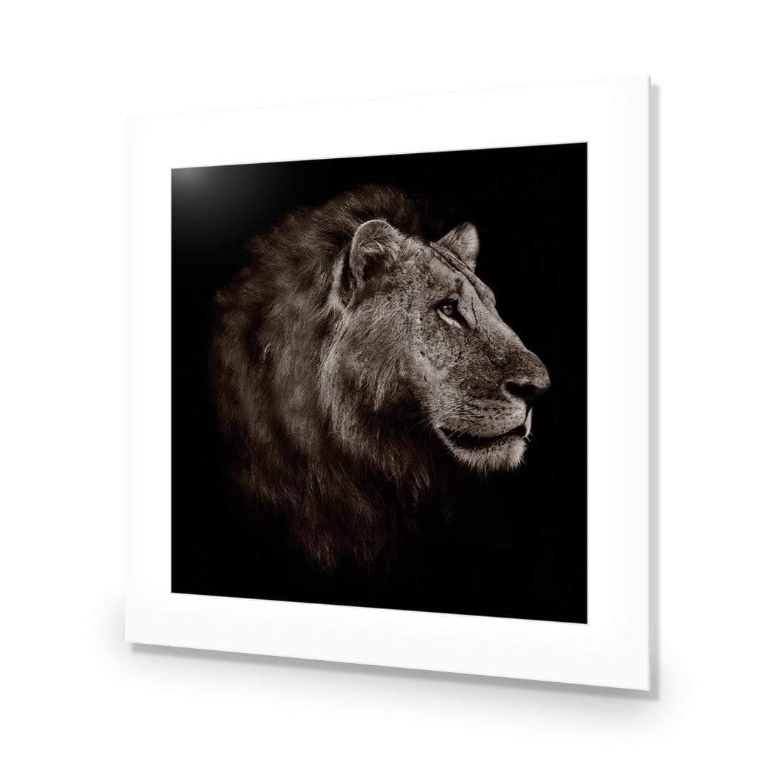 Lion Portrait - Wall Art Designs - 3111_AS_Q WAD_CP - MPY - 260 - M - S - S_37x37_NONE