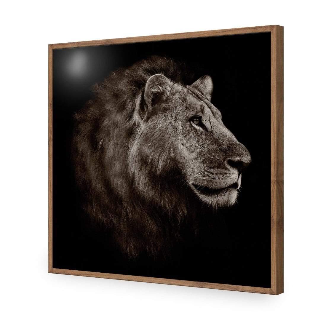 Lion Portrait - Wall Art Designs - 3111_AS_Q WAD_CP - MPY - 260 - M - S - S_37x37_NONE