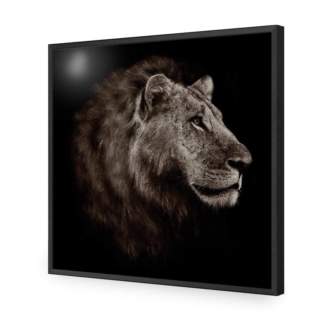 Lion Portrait - Wall Art Designs - 3111_AS_Q WAD_CP - MPY - 260 - M - S - S_37x37_NONE