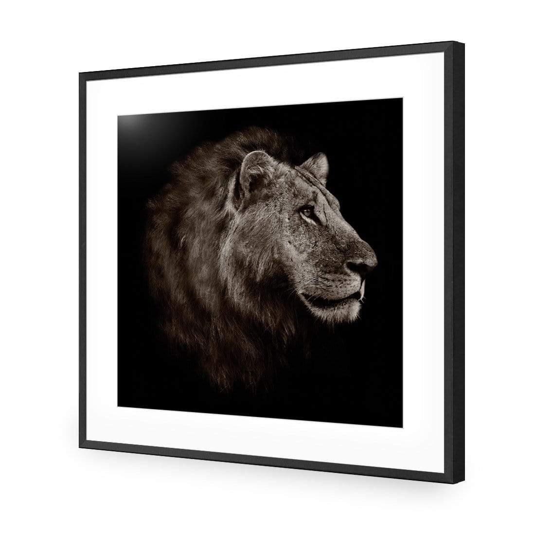 Lion Portrait - Wall Art Designs - 3111_AS_Q WAD_CP - MPY - 260 - M - S - S_37x37_NONE