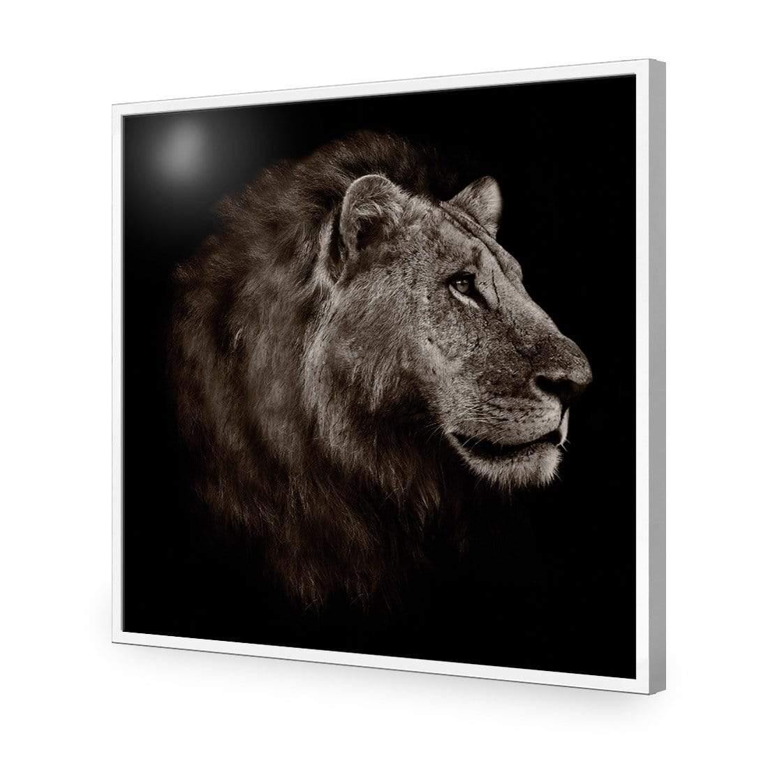 Lion Portrait - Wall Art Designs - 3111_AS_Q WAD_CP - MPY - 260 - M - S - S_37x37_NONE