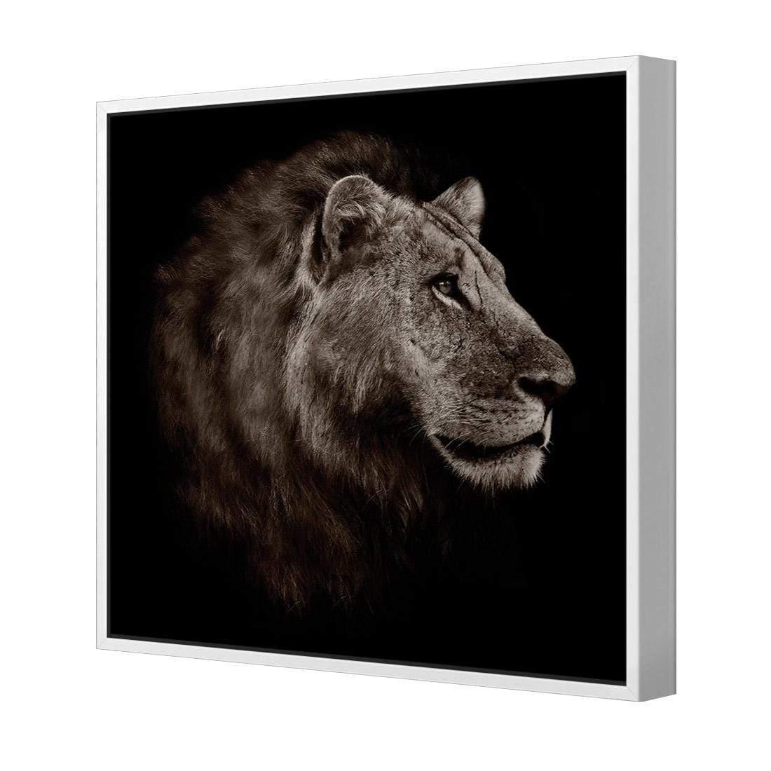 Lion Portrait - Wall Art Designs - 3111_AS_Q WAD_CP - MPY - 260 - M - S - S_37x37_NONE