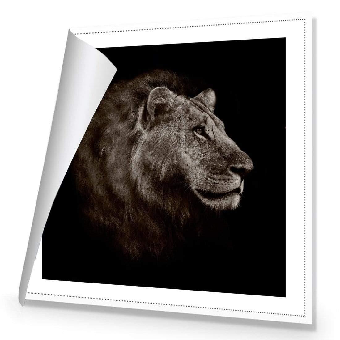 Lion Portrait - Wall Art Designs - 3111_AS_Q WAD_CP - MPY - 260 - M - S - S_37x37_NONE