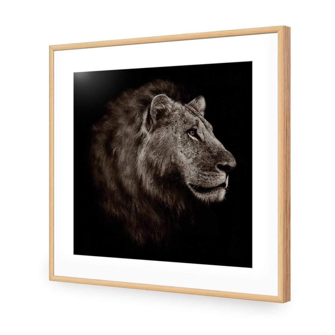 Lion Portrait - Wall Art Designs - 3111_AS_Q WAD_CP - MPY - 260 - M - S - S_37x37_NONE