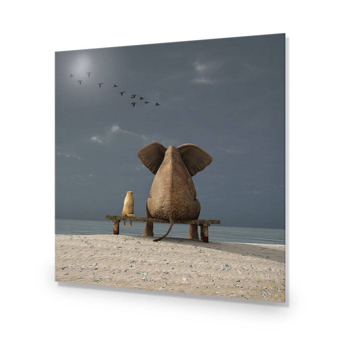 Little And Large, Square Acrylic Print Art - Wall Art Designs - 2901_AS_Q WAD_AP - 030 - EDG_37x37_NONE