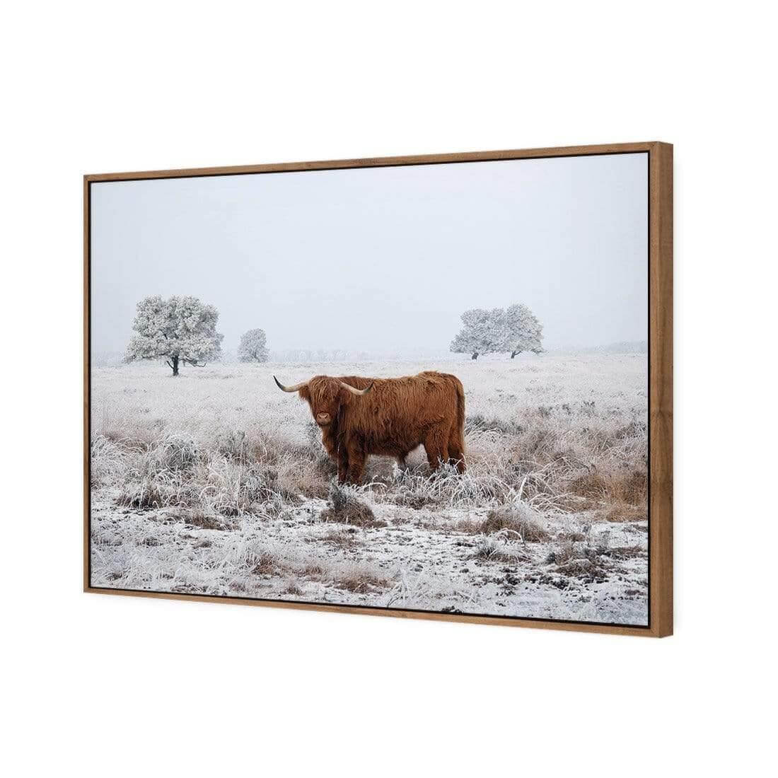 Lonely Highlander - Wall Art Designs - 4086_AR_H WAD_CP - MPY - 260 - M - S - S_45x30_S - 1550 - NAT