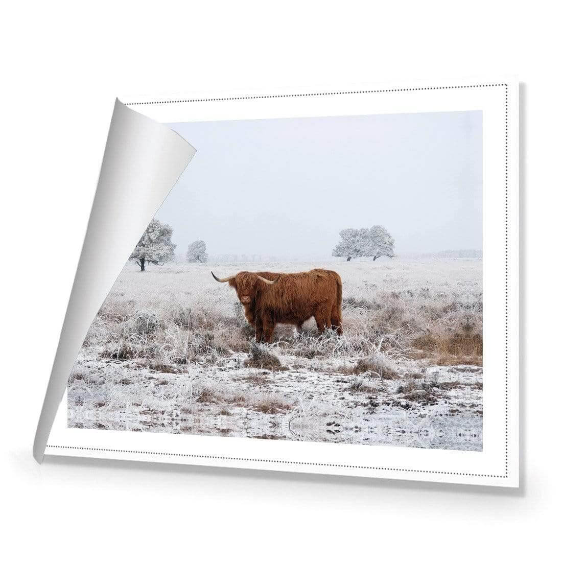 Lonely Highlander - Wall Art Designs - 4086_AR_H WAD_CP - MPY - 260 - M - R_45x30_NONE