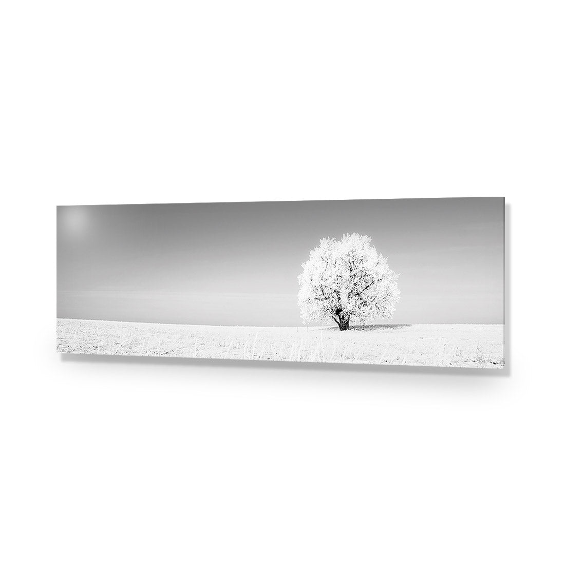 Lonely Snow Tree, Black and White (Long) - Wall Art Designs - 1228_BL_H WAD_AP - 030 - EDG_90x30_NONE