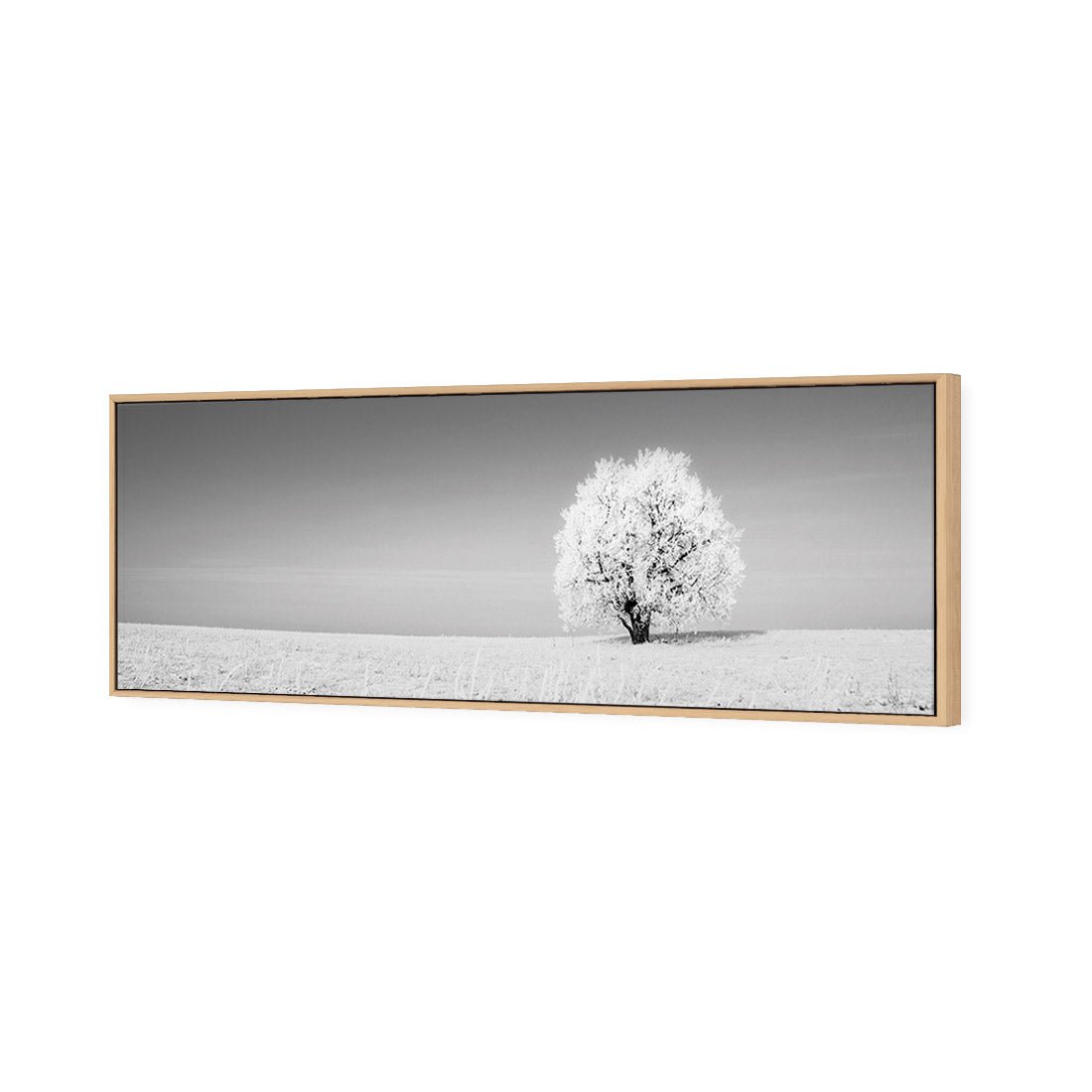 Lonely Snow Tree, Black and White (Long) - Wall Art Designs - 1228_BL_H WAD_CP - MPY - 260 - M - S - S_60x20_S - 1550 - OAK