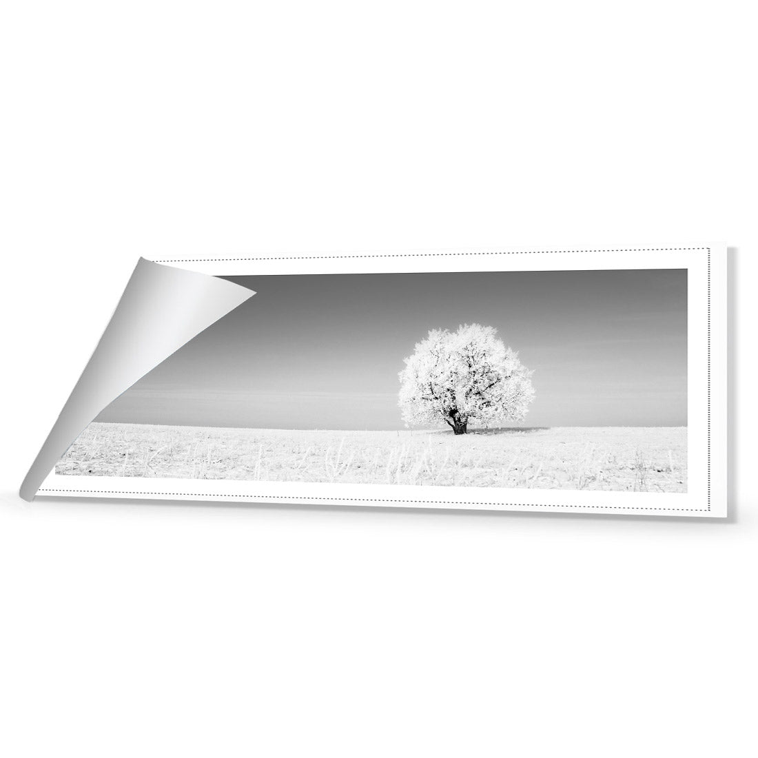 Lonely Snow Tree, Black and White (Long) - Wall Art Designs - 1228_BL_H WAD_CP - MPY - 260 - M - R_60x20_NONE