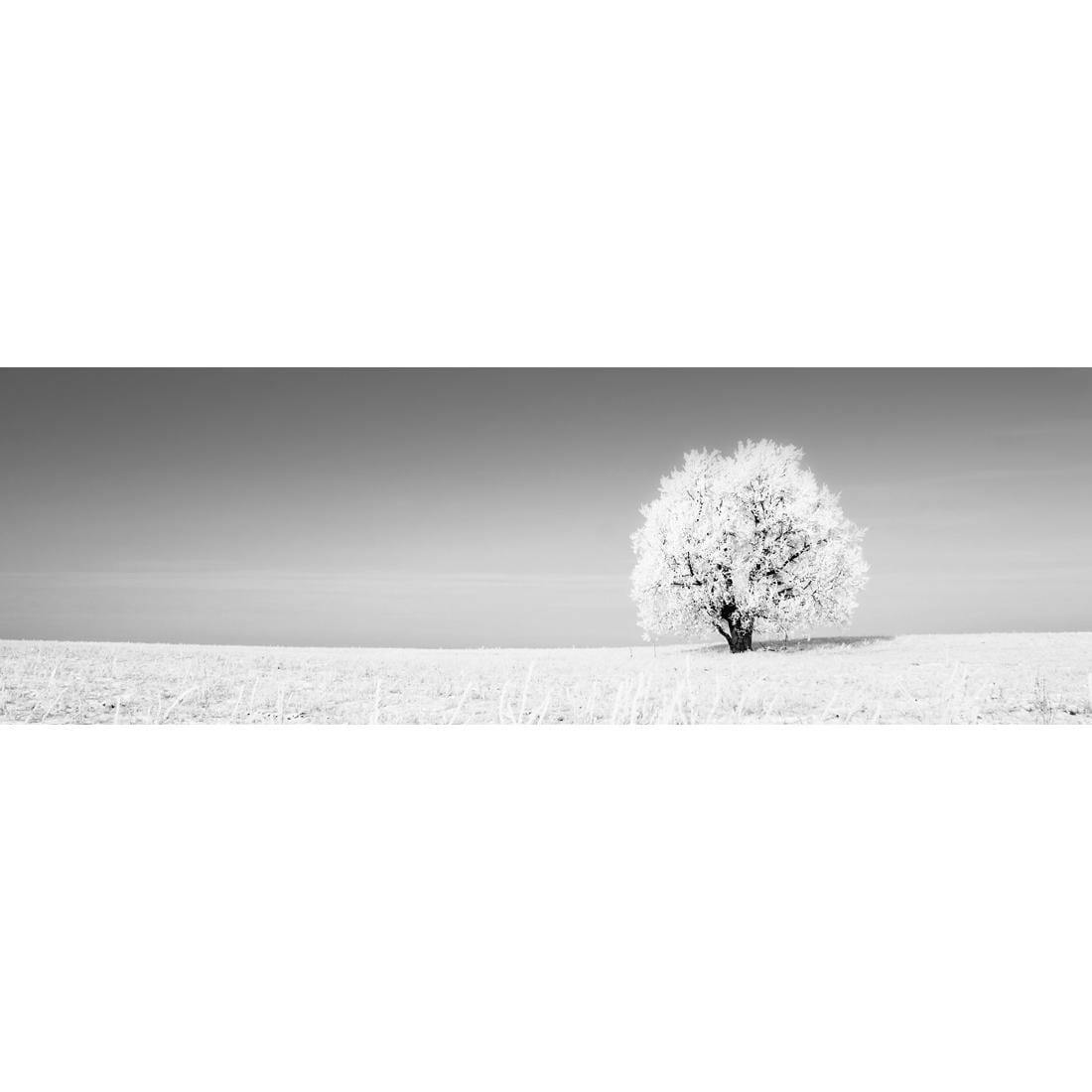 Lonely Snow Tree, Black and White (Long) - Wall Art Designs - 1228_BL_H WAD_CP - MPY - 260 - M - S - S_60x20_NONE