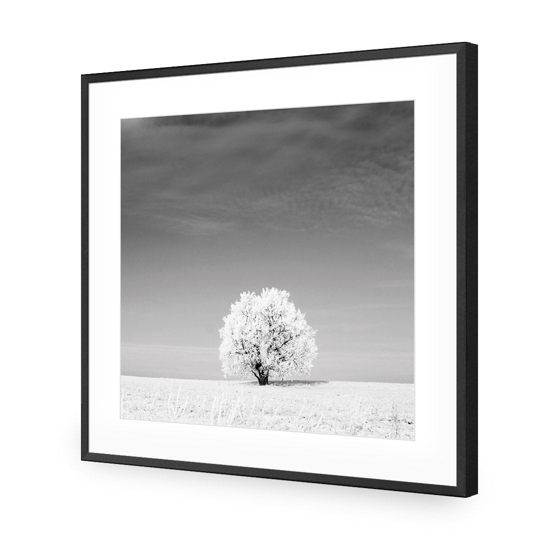 Lonely Snow Tree, Black and White (Square) - Wall Art Designs - 1228_BS_Q WAD_AP - 030 - MAT_37x37_S - 2538 - BLK