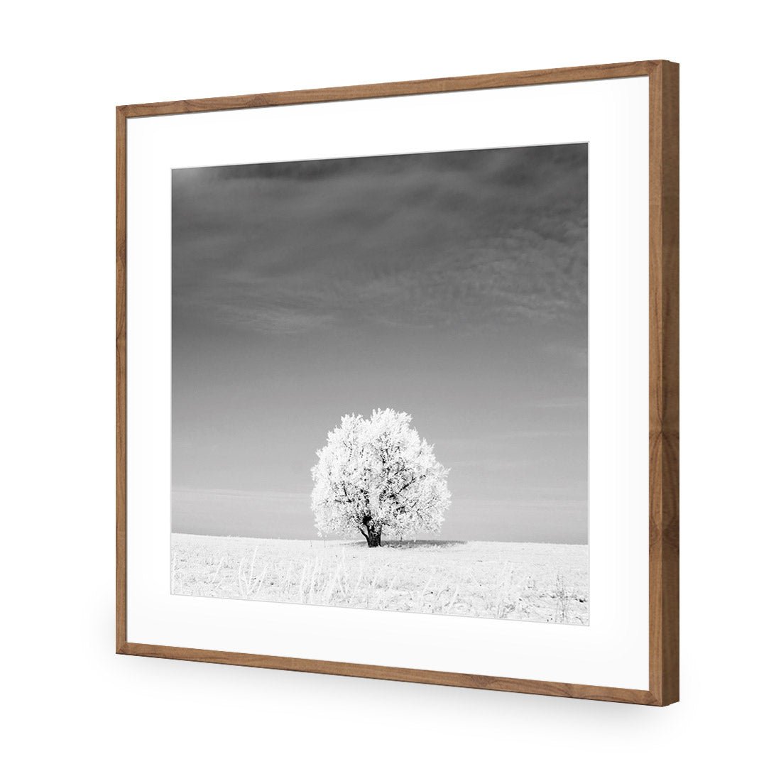 Lonely Snow Tree, Black and White (Square) - Wall Art Designs - 1228_BS_Q WAD_AP - 030 - MAT_37x37_S - 2538 - NAT