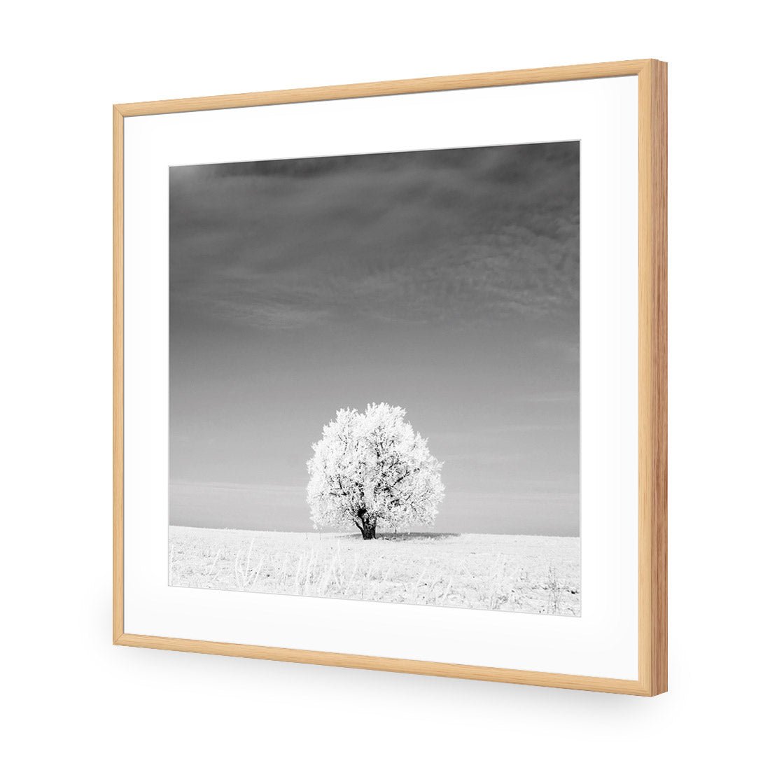 Lonely Snow Tree, Black and White (Square) - Wall Art Designs - 1228_BS_Q WAD_AP - 030 - MAT_37x37_S - 2538 - OAK