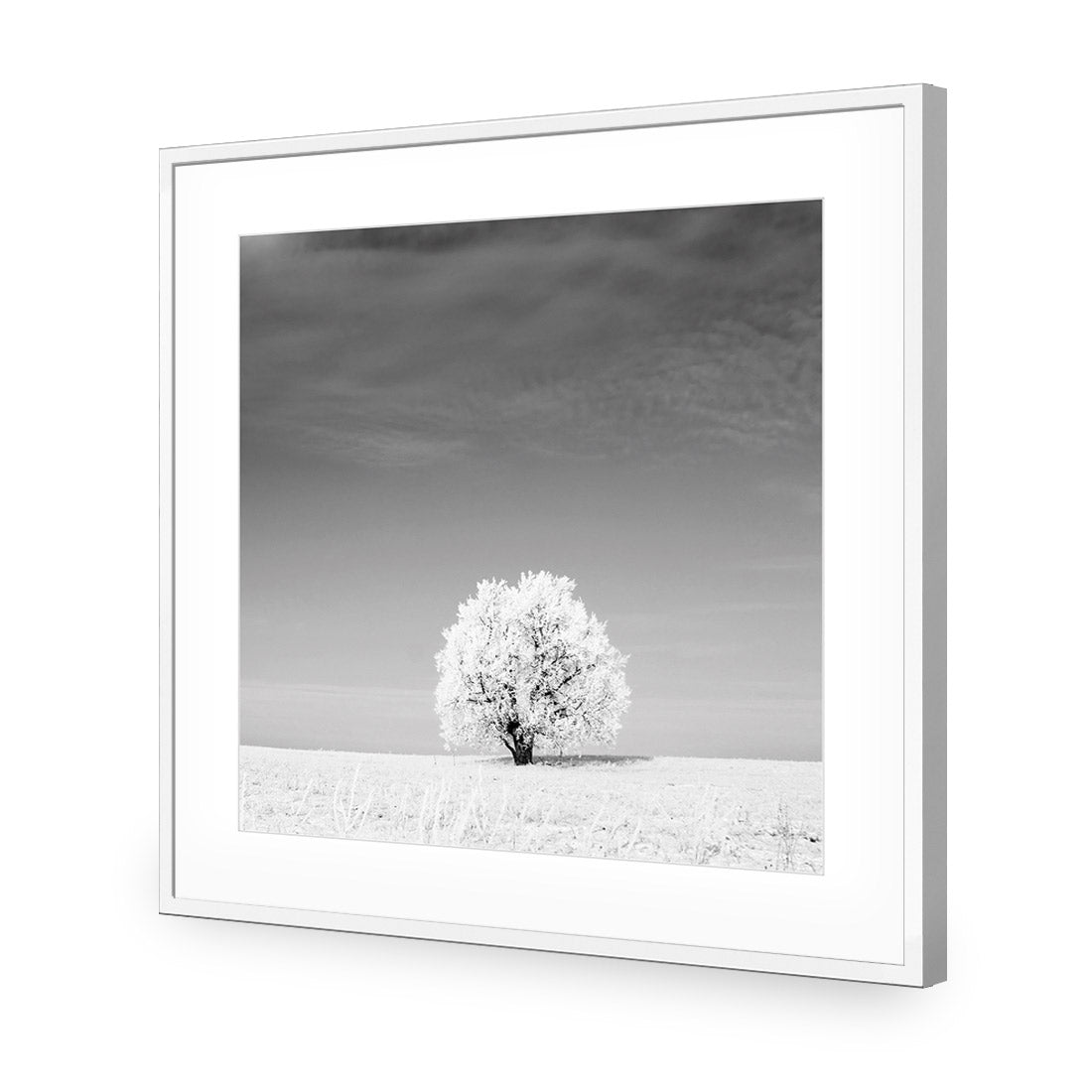 Lonely Snow Tree, Black and White (Square) - Wall Art Designs - 1228_BS_Q WAD_AP - 030 - MAT_37x37_S - 2538 - WHT