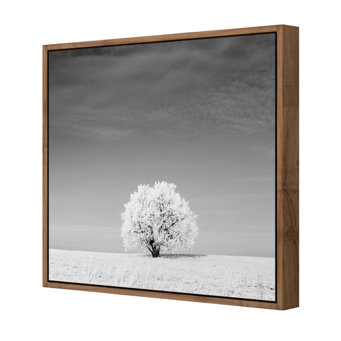 Lonely Snow Tree, Black and White (Square) - Wall Art Designs - 1228_BS_Q WAD_CP - MPY - 260 - M - S - S_37x37_S - 1550 - NAT