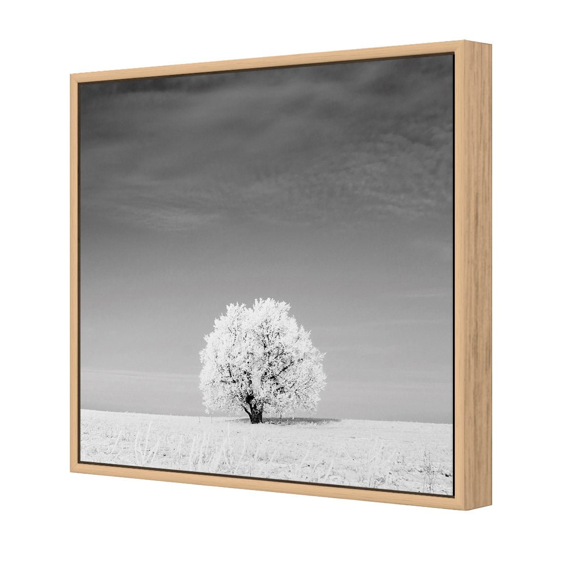 Lonely Snow Tree, Black and White (Square) - Wall Art Designs - 1228_BS_Q WAD_CP - MPY - 260 - M - S - S_37x37_S - 1550 - OAK