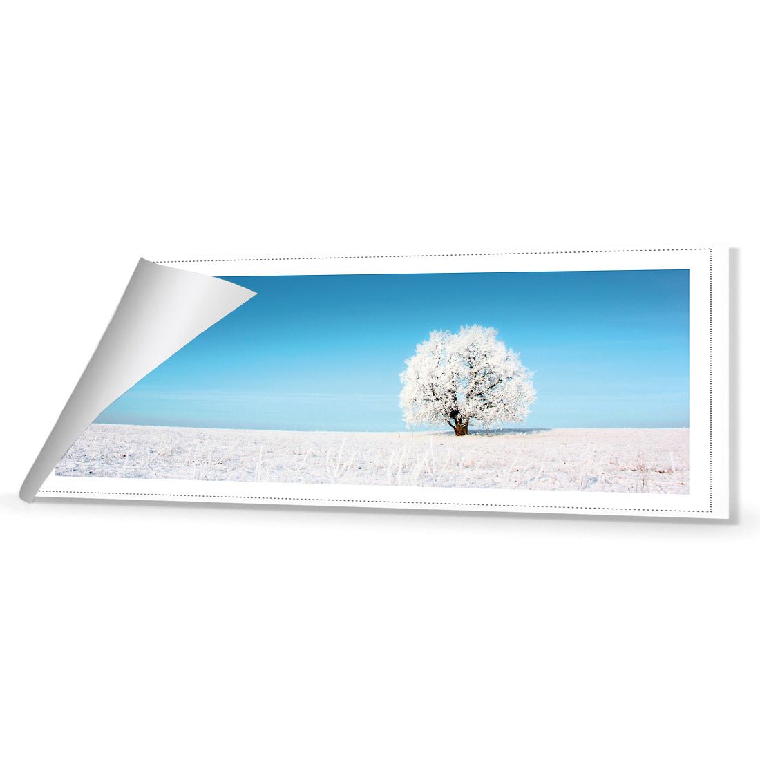 Lonely Snow Tree (Long) - Wall Art Designs - 1228_AL_H WAD_CP - MPY - 260 - M - R_60x20_NONE