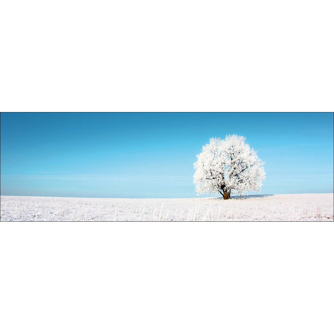 Lonely Snow Tree (Long) - Wall Art Designs - 1228_AL_H WAD_CP - MPY - 260 - M - S - S_60x20_NONE