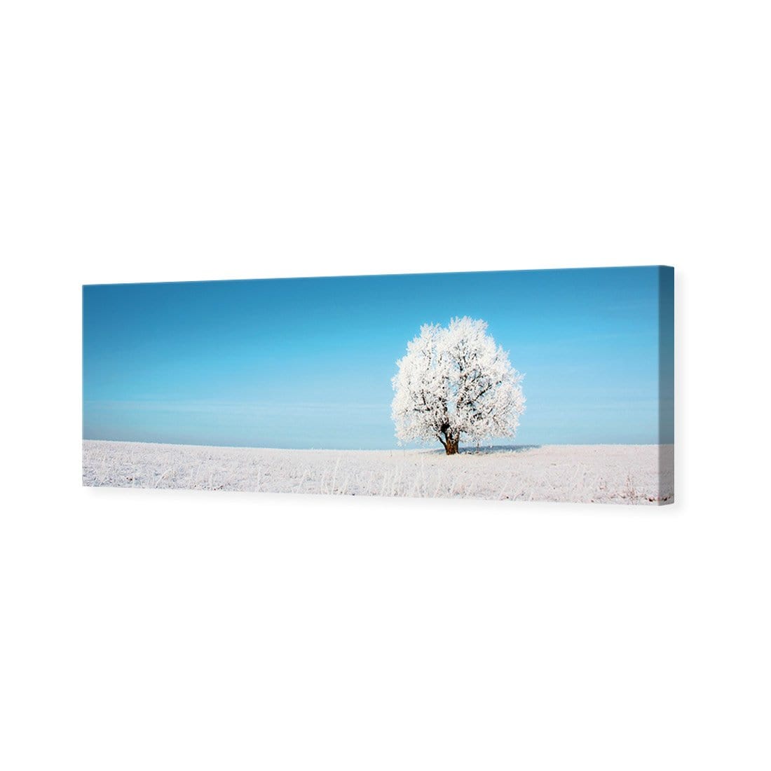 Lonely Snow Tree (Long) - Wall Art Designs - 1228_AL_H WAD_CP - MPY - 260 - M - S - S_60x20_NONE