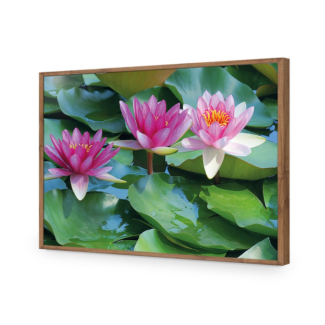 Lotus Dream - Wall Art Designs - 154_AR_H WAD_AP - 030 - EDG_45x30_S - 2538 - NAT