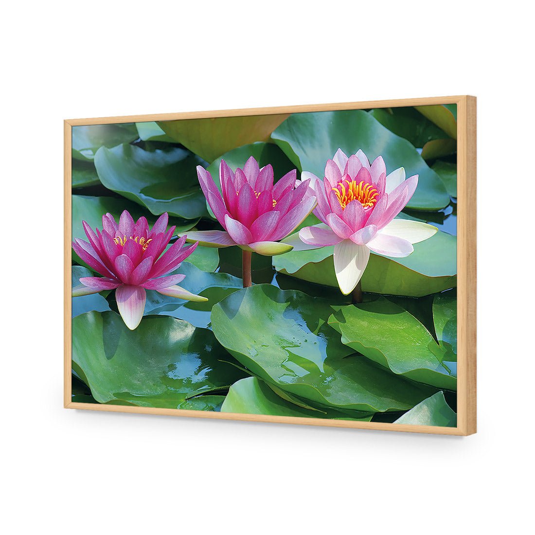 Lotus Dream - Wall Art Designs - 154_AR_H WAD_AP - 030 - EDG_45x30_S - 2538 - OAK