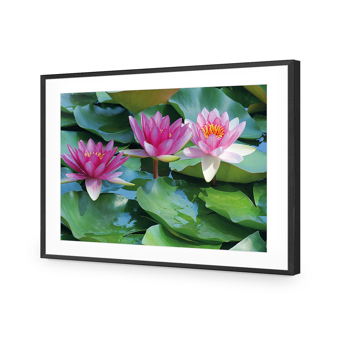 Lotus Dream - Wall Art Designs - 154_AR_H WAD_AP - 030 - MAT_45x30_S - 2538 - BLK