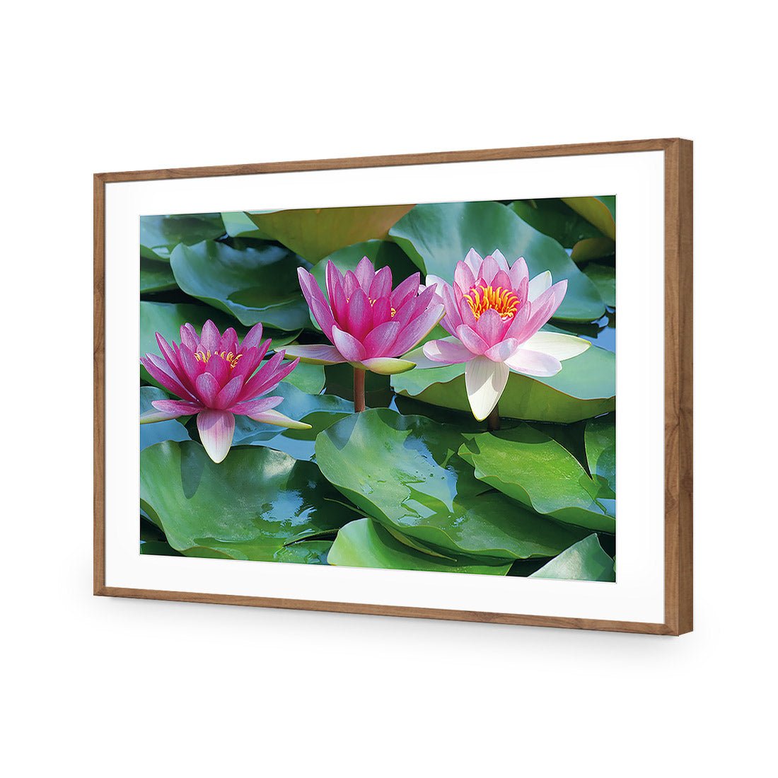 Lotus Dream - Wall Art Designs - 154_AR_H WAD_AP - 030 - MAT_45x30_S - 2538 - NAT