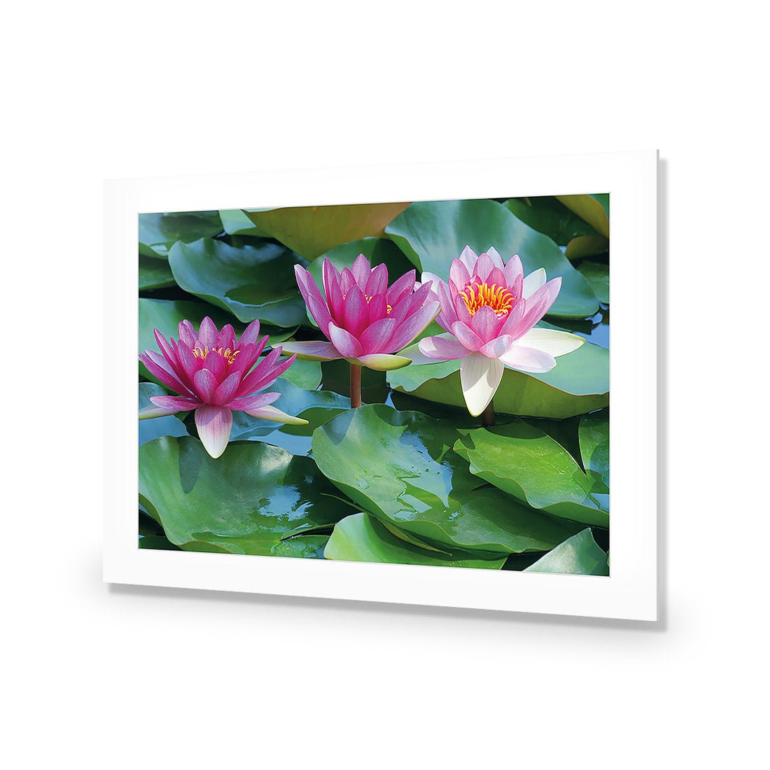 Lotus Dream - Wall Art Designs - 154_AR_H WAD_AP - 030 - MAT_45x30_NONE