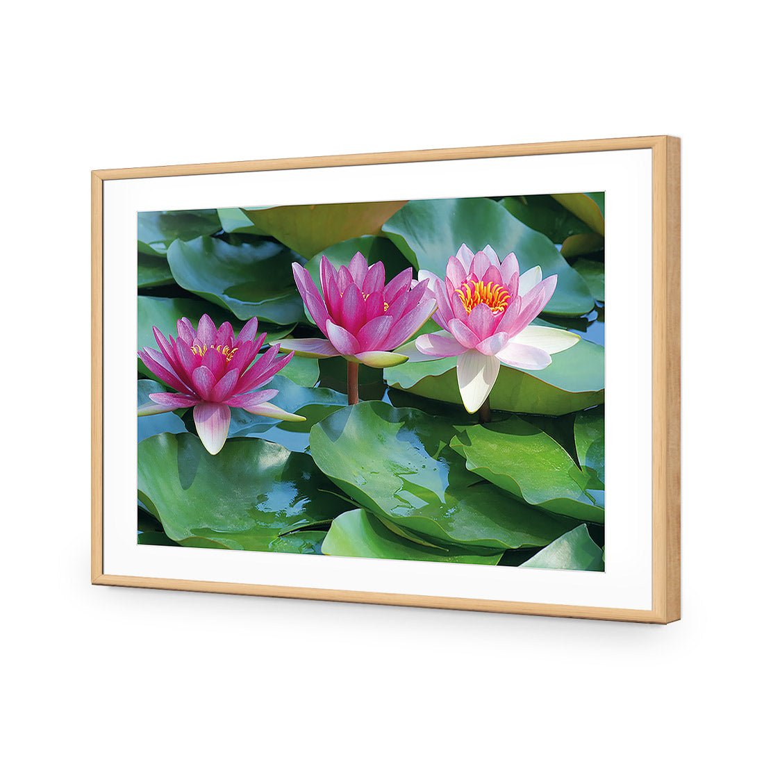 Lotus Dream - Wall Art Designs - 154_AR_H WAD_AP - 030 - MAT_45x30_S - 2538 - OAK