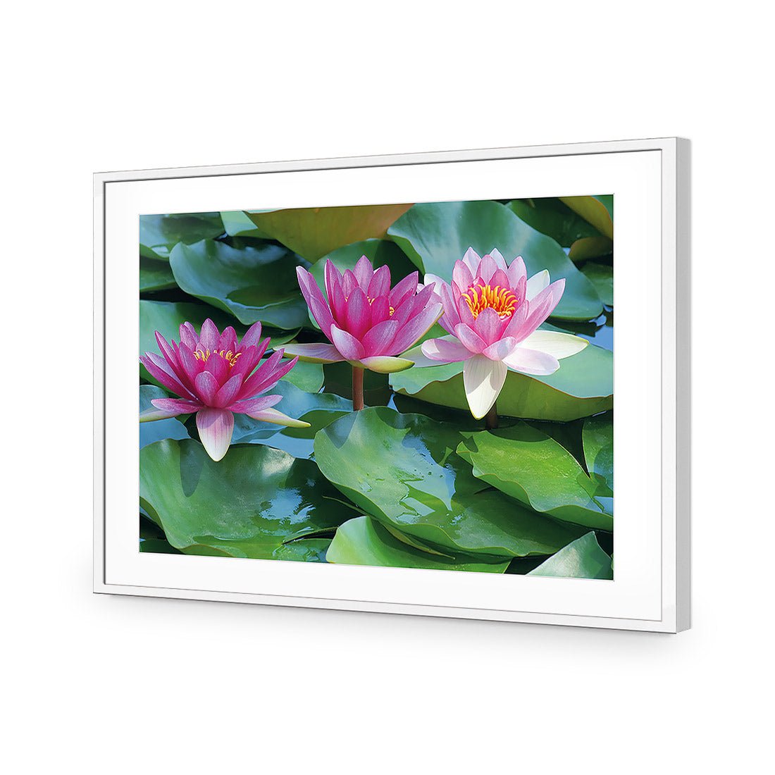 Lotus Dream - Wall Art Designs - 154_AR_H WAD_AP - 030 - MAT_45x30_S - 2538 - WHT