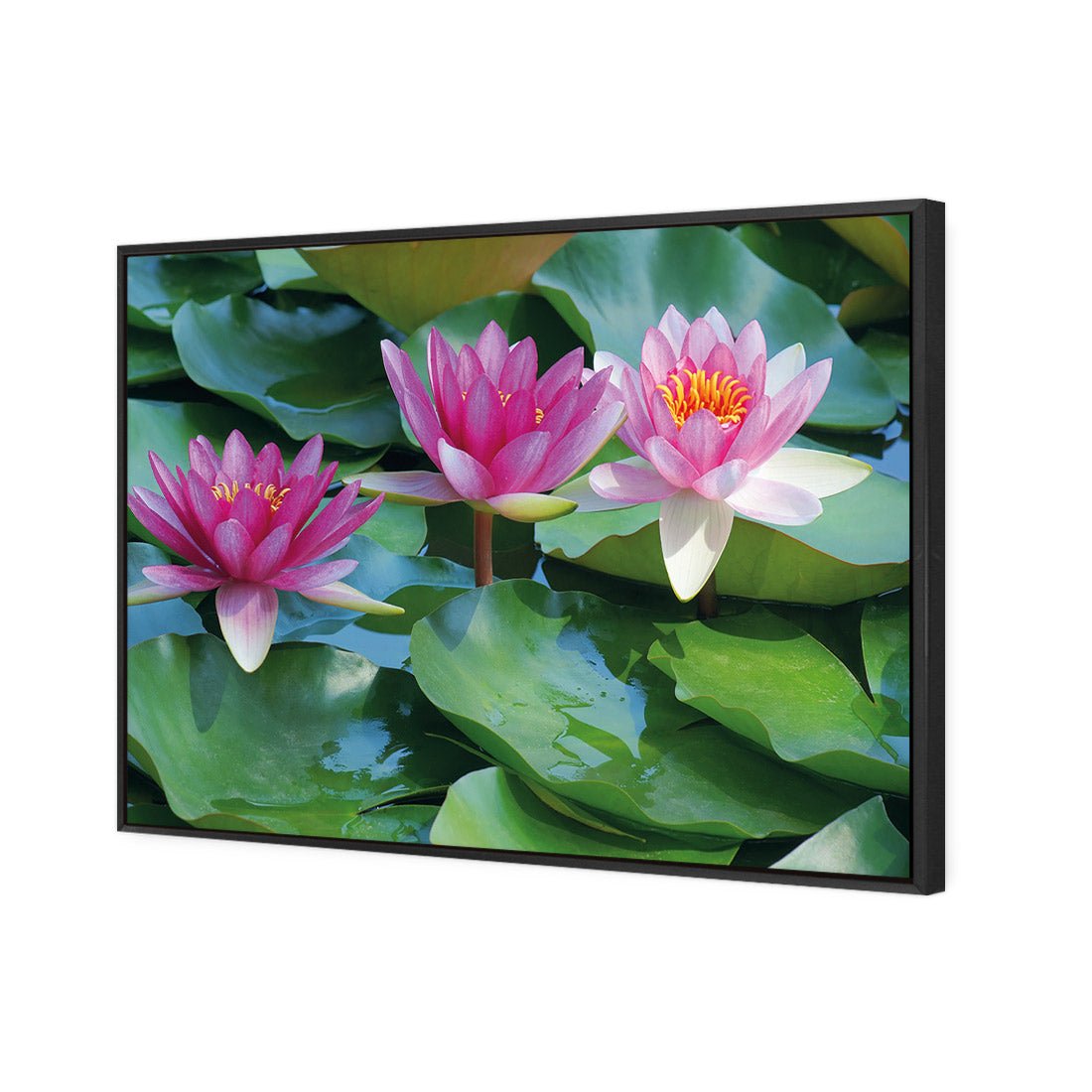 Lotus Dream - Wall Art Designs - 154_AR_H WAD_CP - MPY - 260 - M - S - S_45x30_S - 1550 - BLK