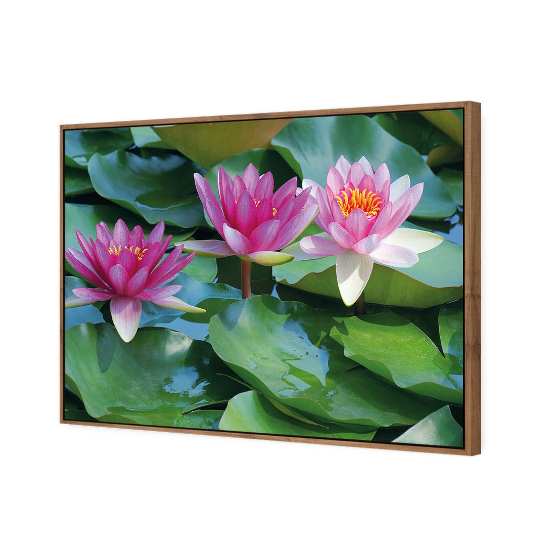 Lotus Dream - Wall Art Designs - 154_AR_H WAD_CP - MPY - 260 - M - S - S_45x30_S - 1550 - NAT