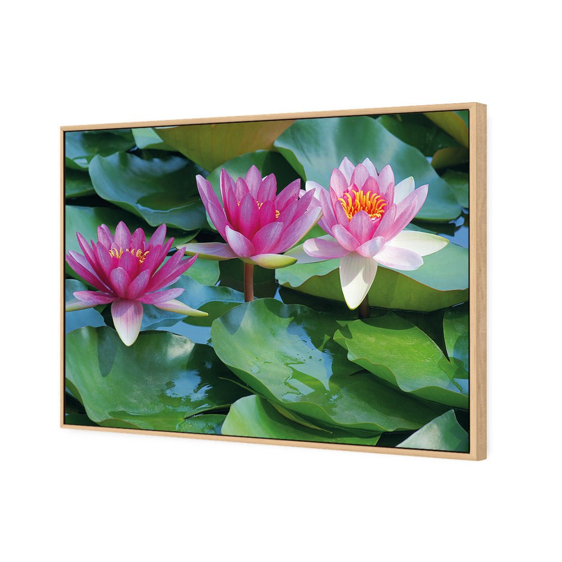 Lotus Dream - Wall Art Designs - 154_AR_H WAD_CP - MPY - 260 - M - S - S_45x30_S - 1550 - OAK