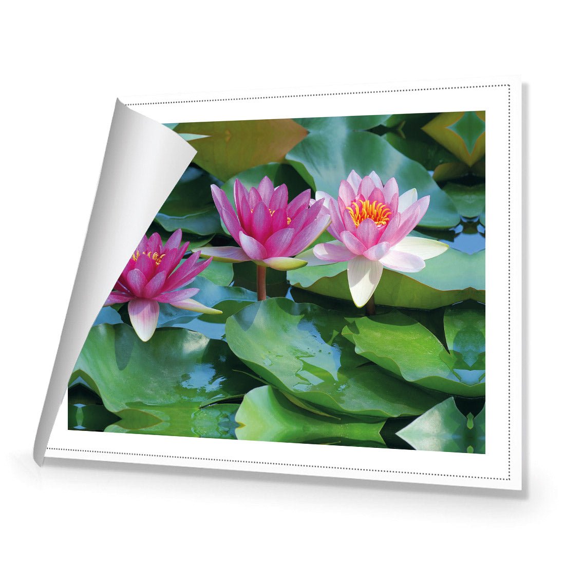 Lotus Dream - Wall Art Designs - 154_AR_H WAD_CP - MPY - 260 - M - R_45x30_NONE