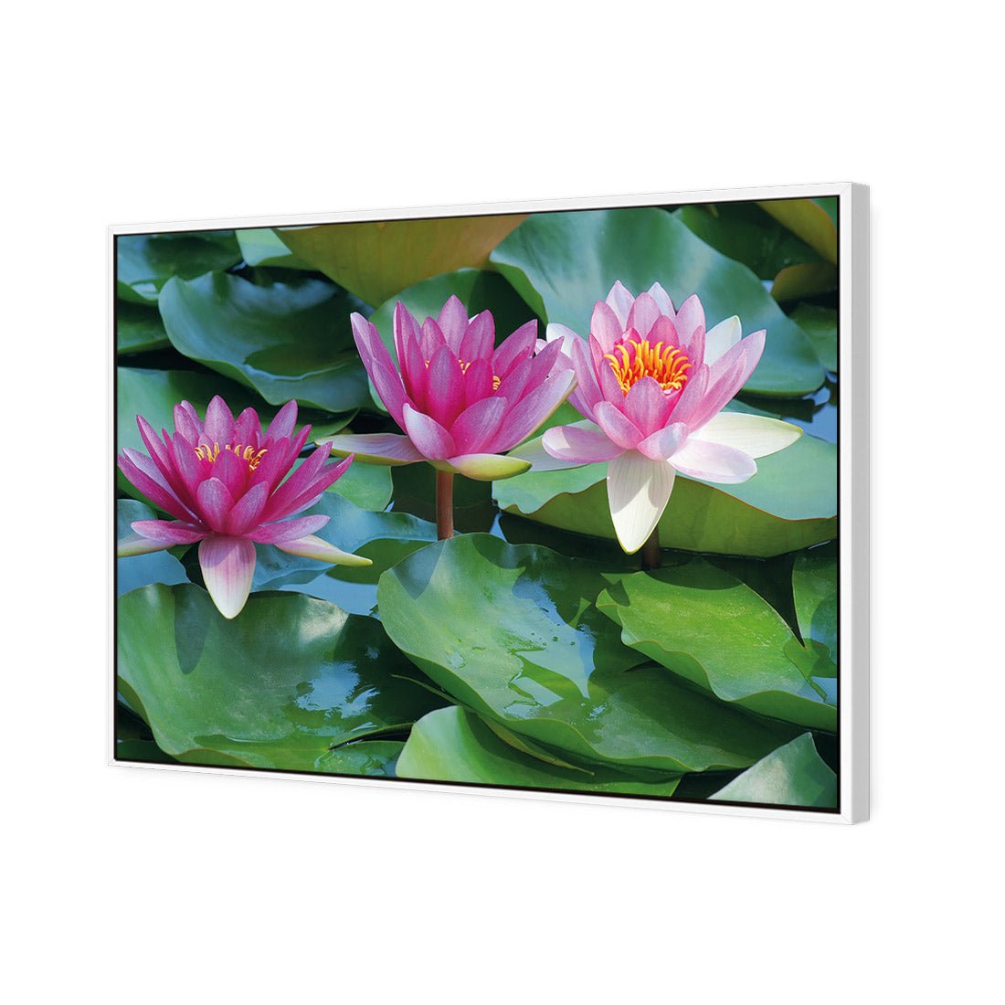 Lotus Dream - Wall Art Designs - 154_AR_H WAD_CP - MPY - 260 - M - S - S_45x30_S - 1550 - WHT