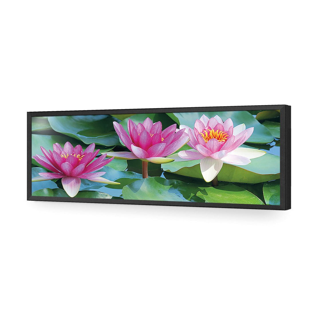 Lotus Dream (long) - Wall Art Designs - 154_AL_H WAD_AP - 030 - EDG_90x30_S - 2538 - BLK