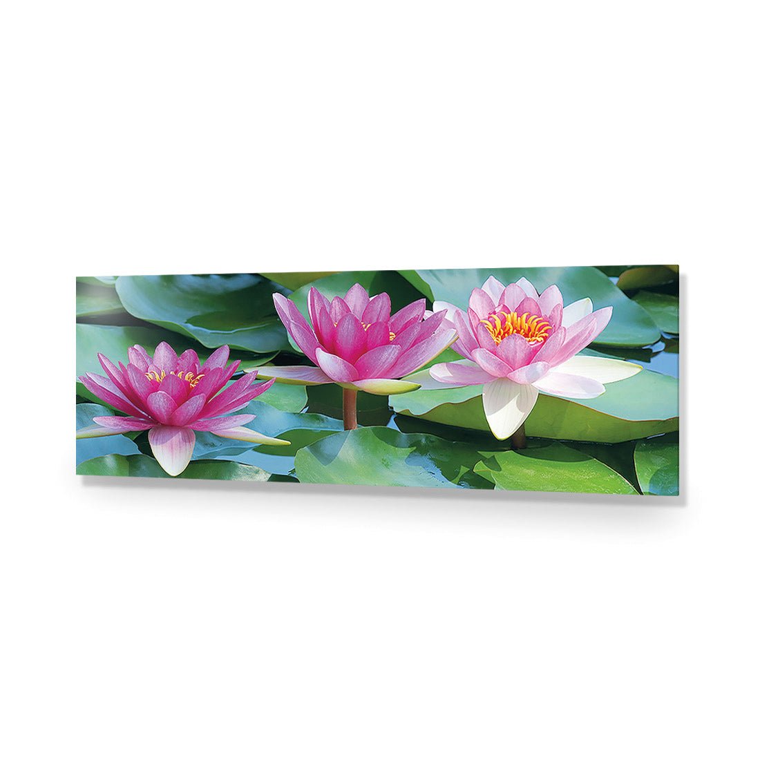 Lotus Dream (long) - Wall Art Designs - 154_AL_H WAD_AP - 030 - EDG_90x30_NONE