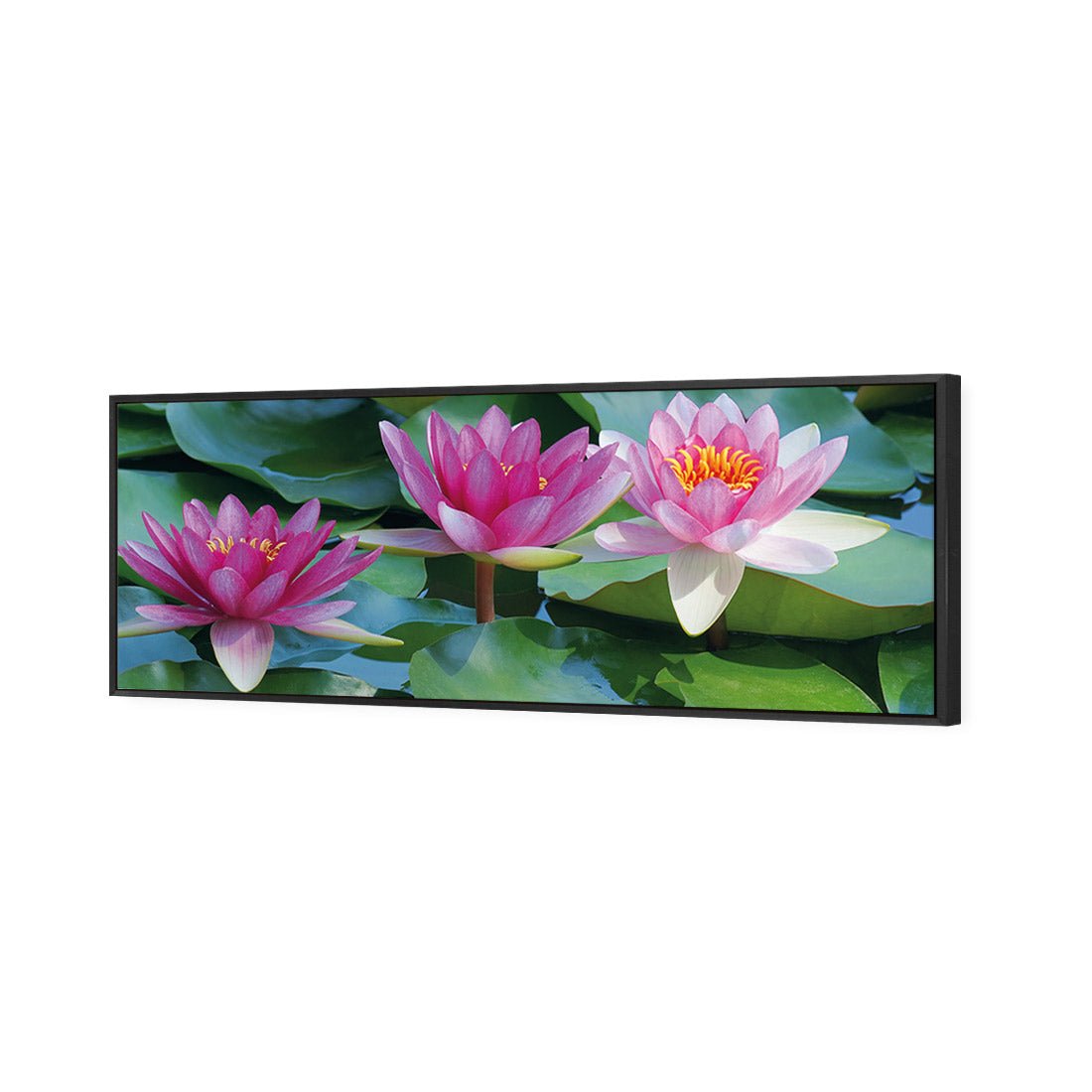 Lotus Dream (long) - Wall Art Designs - 154_AL_H WAD_CP - MPY - 260 - M - S - S_60x20_S - 1550 - BLK