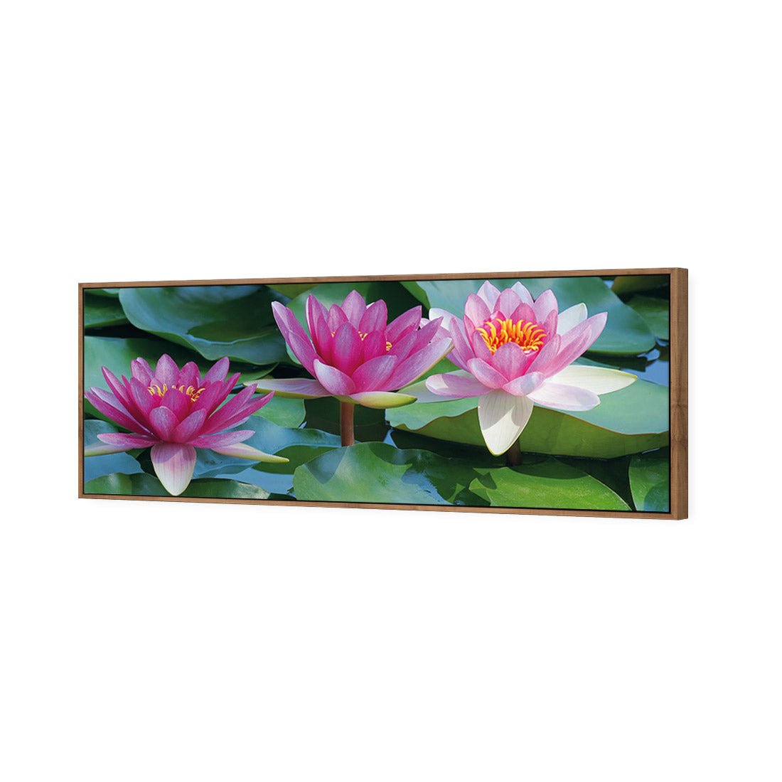 Lotus Dream (long) - Wall Art Designs - 154_AL_H WAD_CP - MPY - 260 - M - S - S_60x20_S - 1550 - NAT