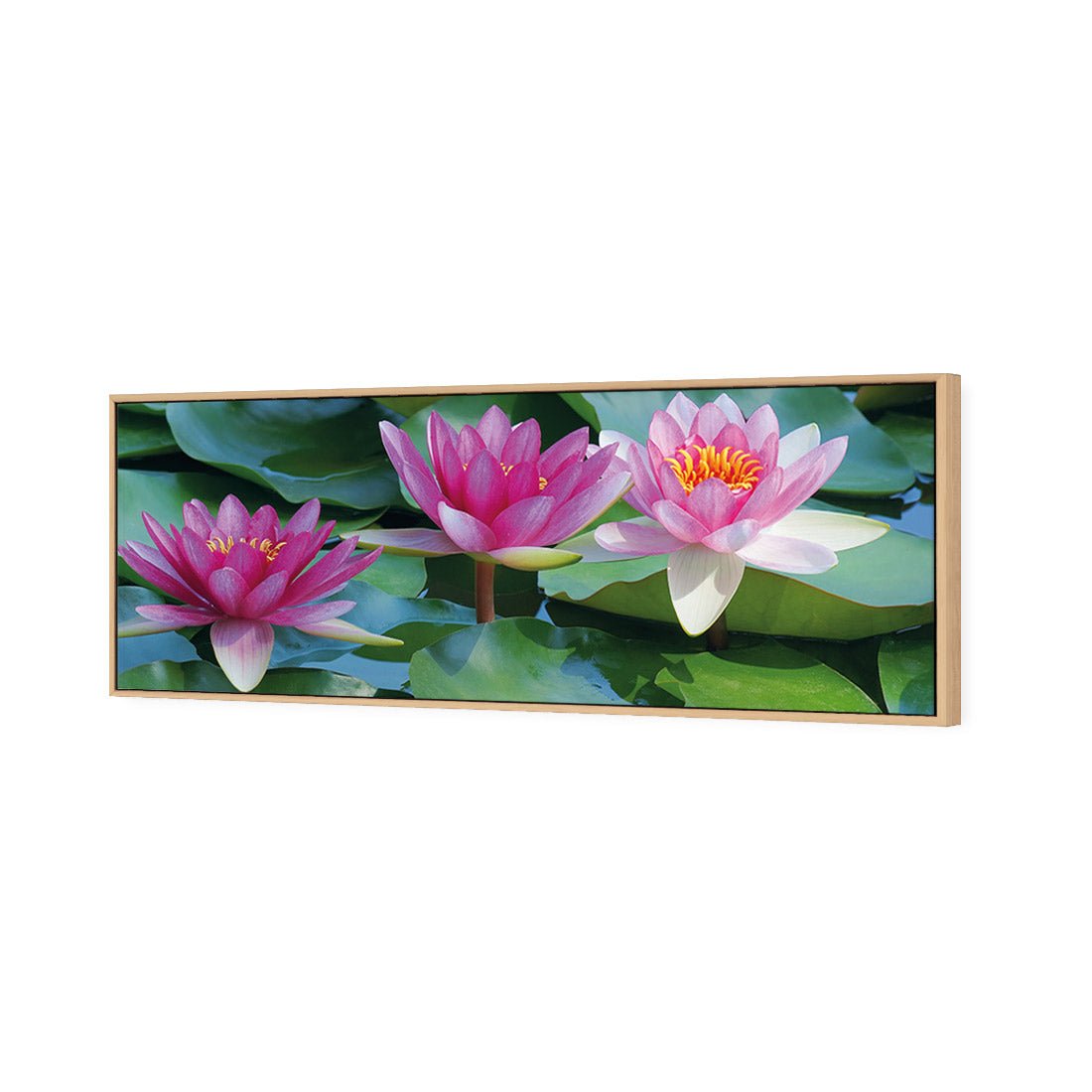 Lotus Dream (long) - Wall Art Designs - 154_AL_H WAD_CP - MPY - 260 - M - S - S_60x20_S - 1550 - OAK