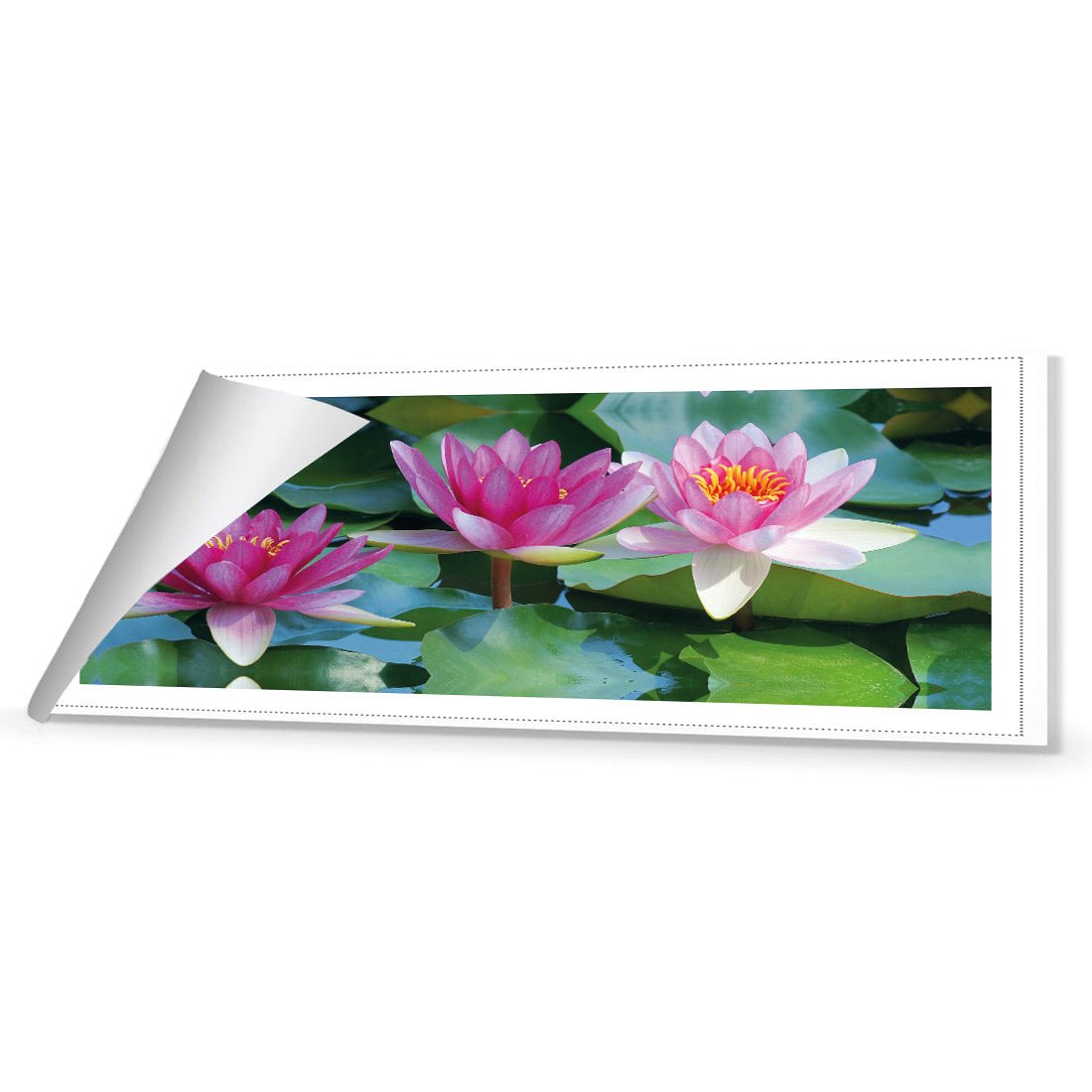 Lotus Dream (long) - Wall Art Designs - 154_AL_H WAD_CP - MPY - 260 - M - R_60x20_NONE