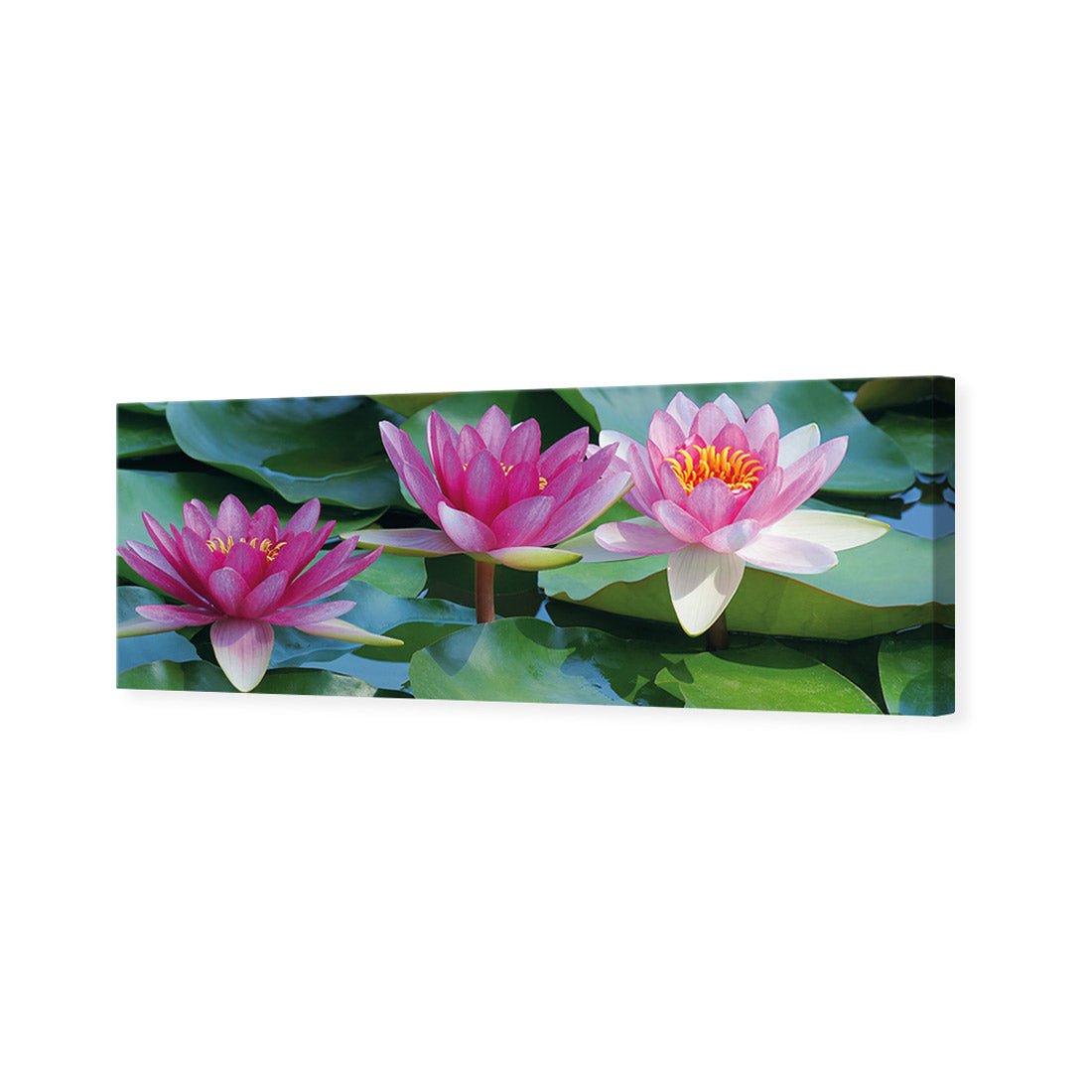 Lotus Dream (long) - Wall Art Designs - 154_AL_H WAD_CP - MPY - 260 - M - S - S_60x20_NONE