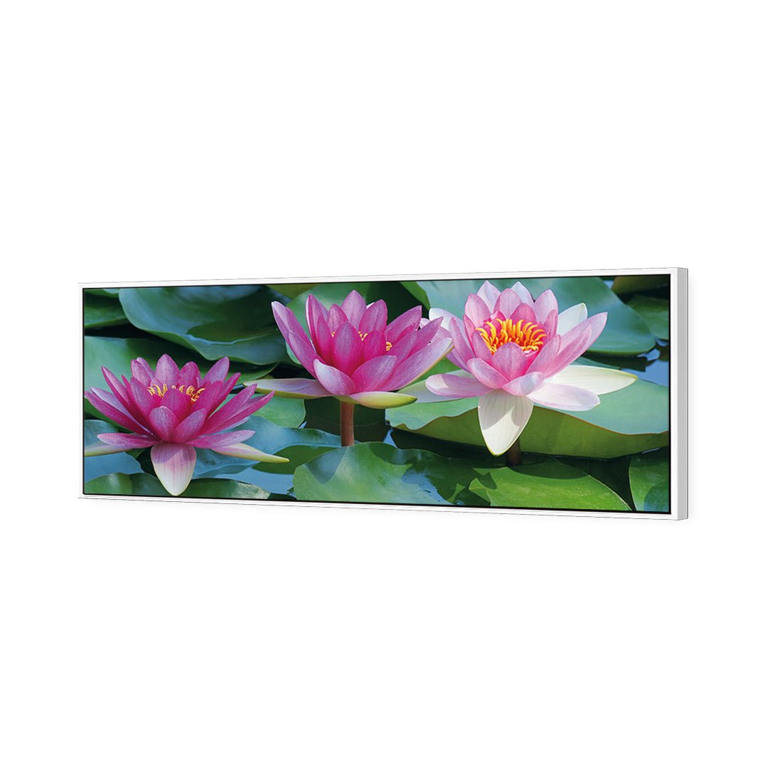 Lotus Dream (long) - Wall Art Designs - 154_AL_H WAD_CP - MPY - 260 - M - S - S_60x20_S - 1550 - WHT