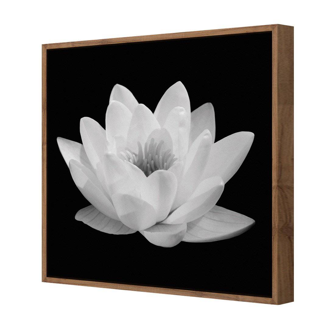 Lotus In Bloom, White Canvas Art - Wall Art Designs - 2593_BS_Q WAD_CP - MPY - 260 - M - S - S_30x30_S - 1550 - NAT