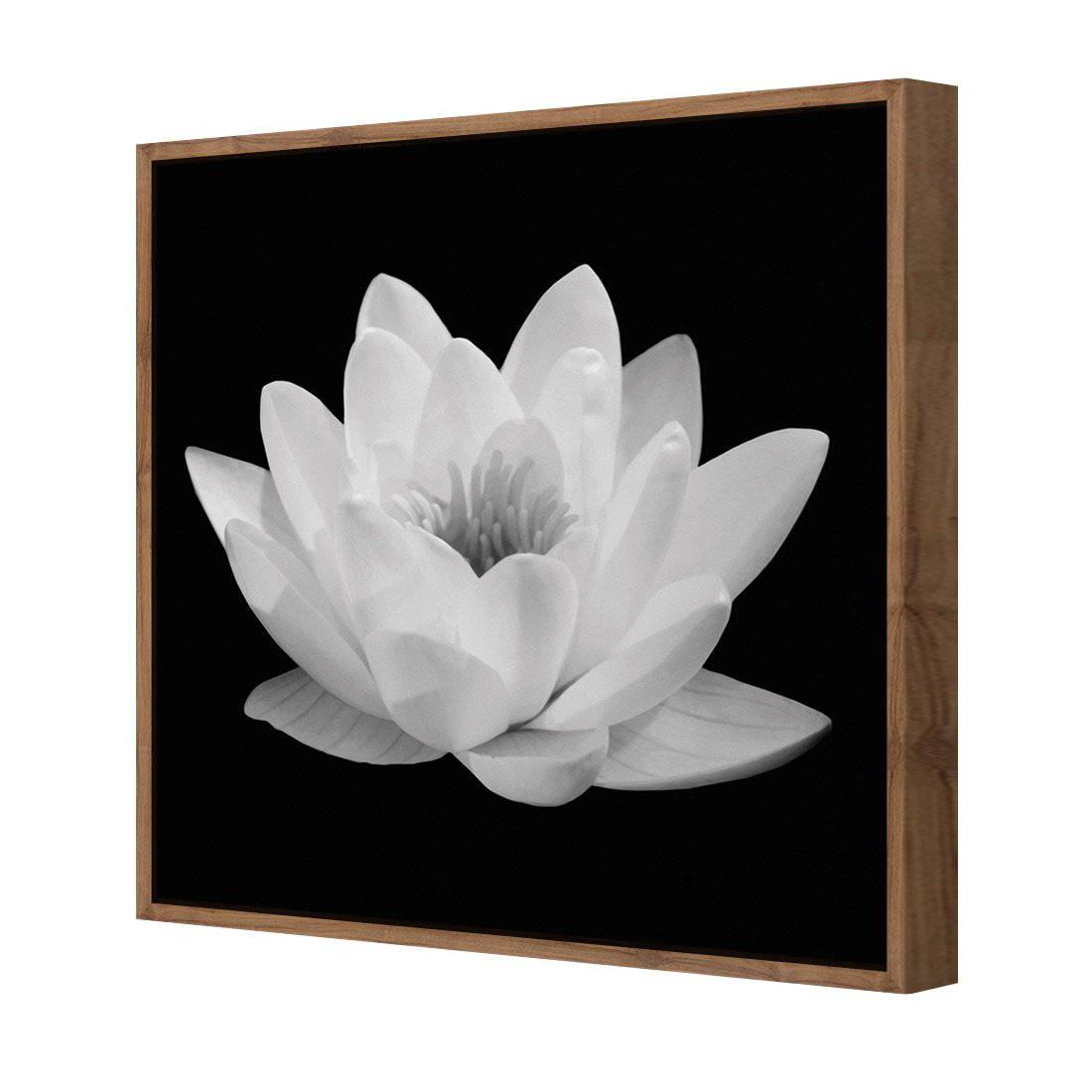 Lotus In Bloom, White | Classic Canvas | Floating Frame | Natural