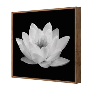 Lotus In Bloom, White | Classic Canvas | Floating Frame | Natural