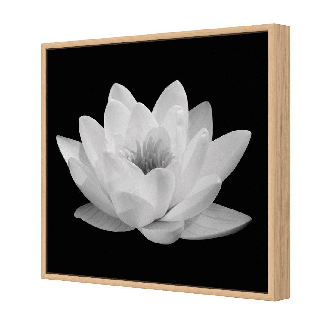 Lotus In Bloom, White | Classic Canvas | Floating Frame | Oak