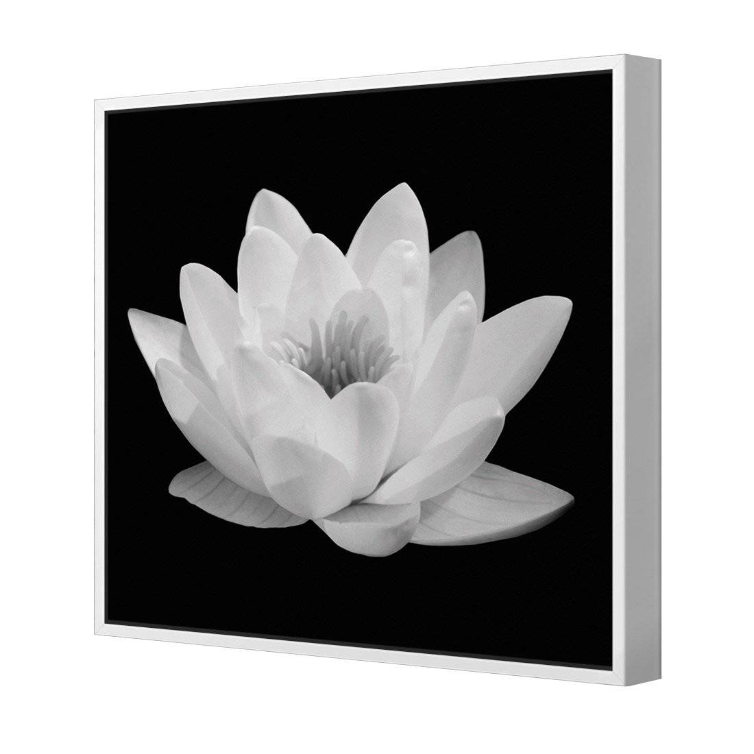 Lotus In Bloom, White | Classic Canvas | Floating Frame | White
